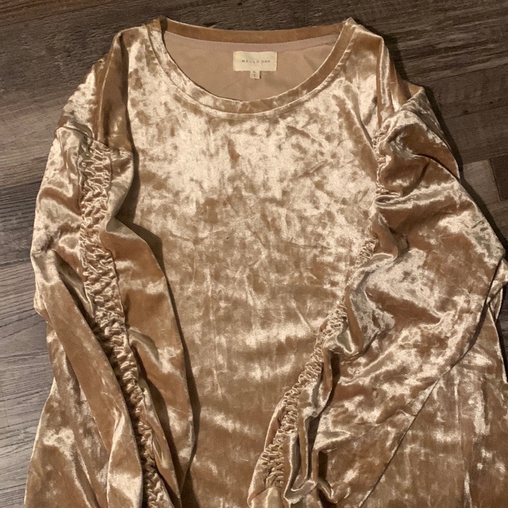 Mello Day top from Nordstrom. Size Xl. Light brown crushed velvet